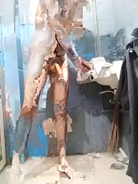 Zv0yl9's cam snapshot