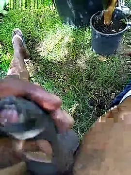 gwadaa9 live sex cam