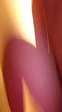 Sexecochon live sex cam