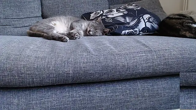 sexpourvous's cam snapshot