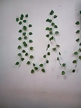 Taniya-2025's cam snapshot