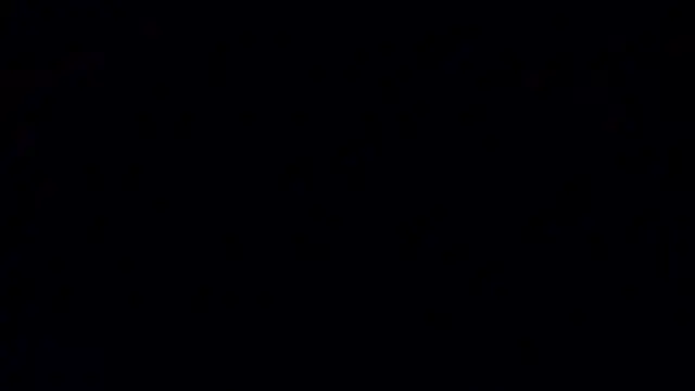 Sima--Roy's cam snapshot