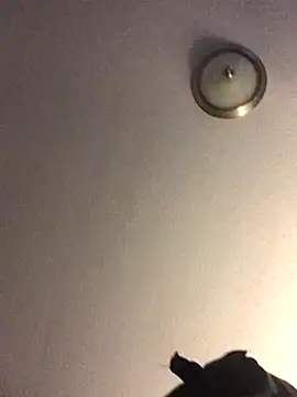 Fxncymuse's cam snapshot