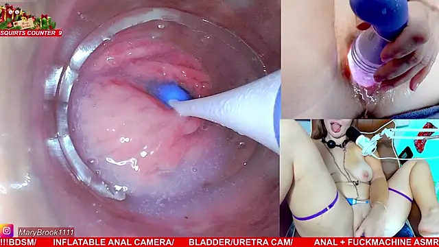 MaryBrook1 live sex cam