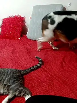 Lady_16's cam snapshot