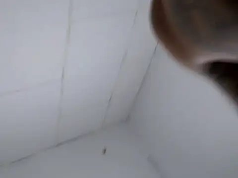 GilberMxx live sex cam