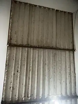 Bigostosa's cam snapshot