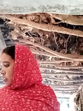 NEXIQRAN's cam snapshot