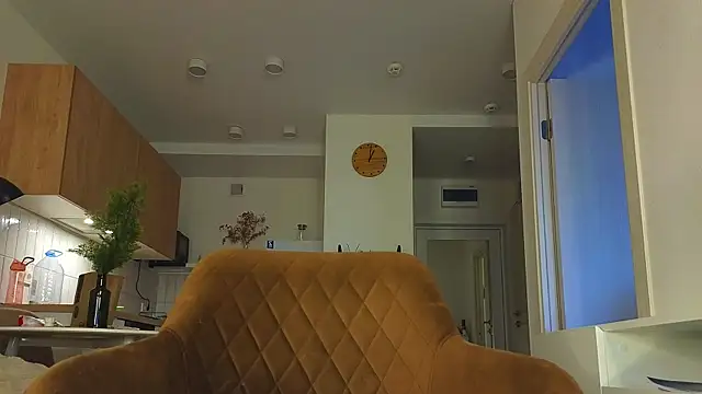 Lili_Roze_'s cam snapshot