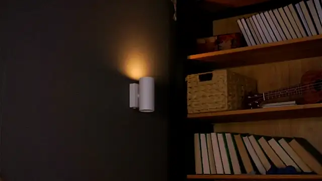 DarylBarks live sex cam