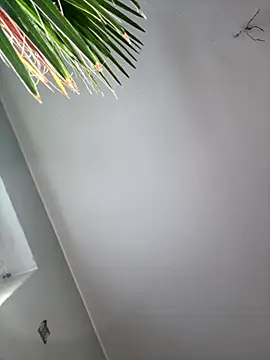 pillepallex84x live sex cam