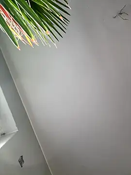 pillepallex84x's cam snapshot