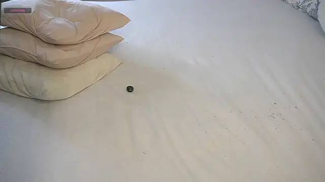 DawnAcreman live sex cam