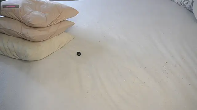 DawnAcreman's cam snapshot