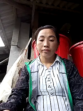 seacyre's cam snapshot