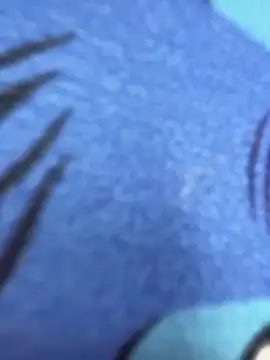 Nicol_V's cam snapshot