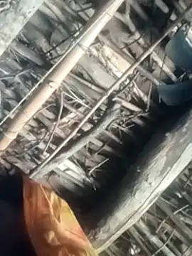 Akanksha_soni live sex cam