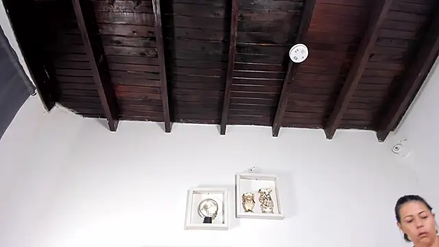 ariana-martins's cam snapshot