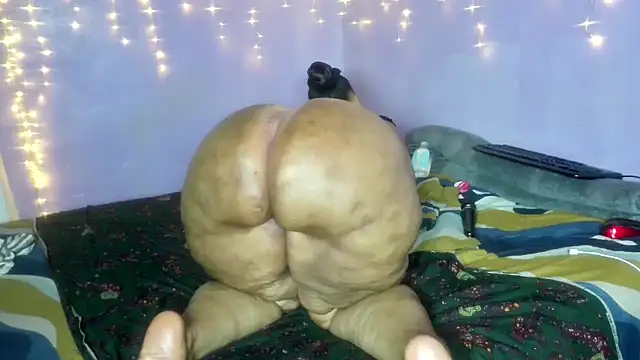 wilmaassylum's cam snapshot