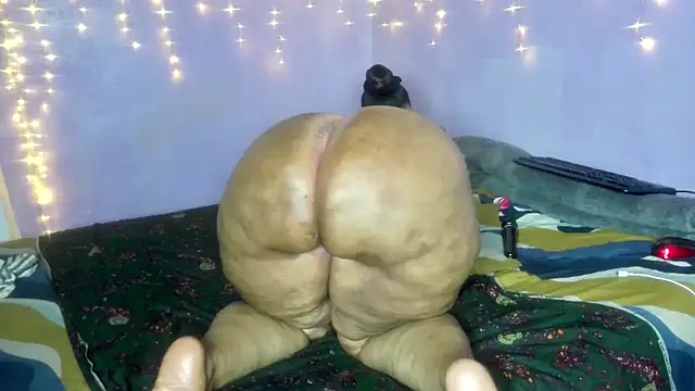 wilmaassylum's cam snapshot