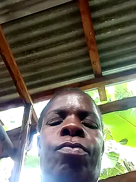 stable_23's cam snapshot