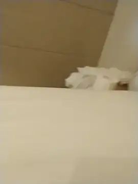 Dannydy2015 live sex cam