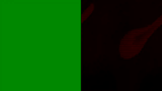 sonotutto live sex cam