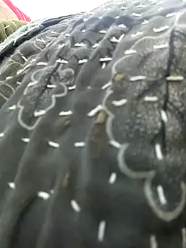 Hot-honi's cam snapshot