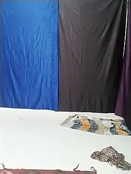 tanjua78's cam snapshot