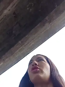 -Nicol's cam snapshot