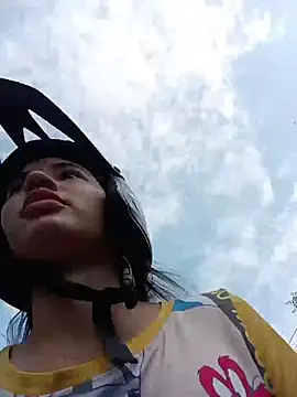 -Nicol's cam snapshot