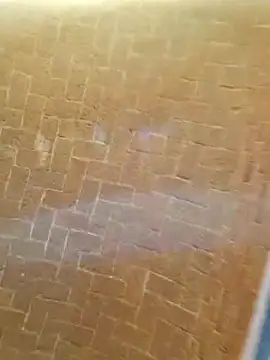 Luisa968's cam snapshot