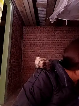 sowbibi's cam snapshot