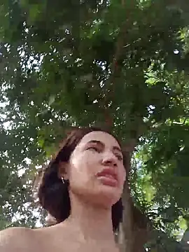 -Nicol's cam snapshot