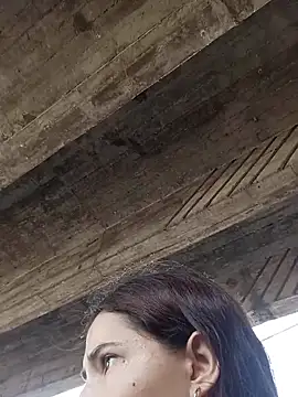 -Nicol's cam snapshot