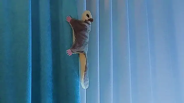 AngelicRice's cam snapshot