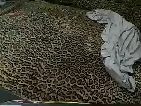 Iamtheshow's cam snapshot