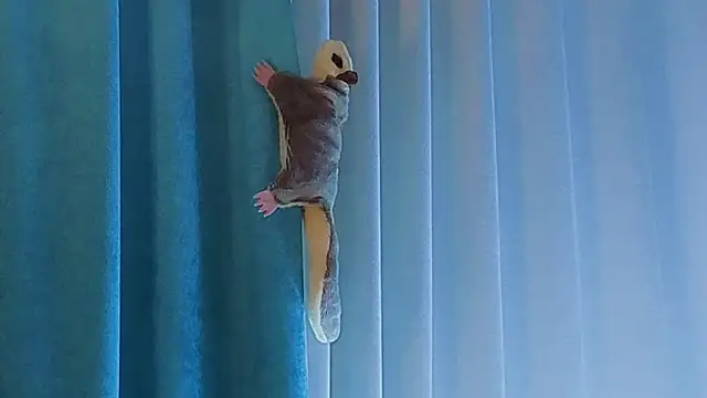 AngelicRice's cam snapshot