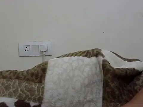 Nehaluv's cam snapshot