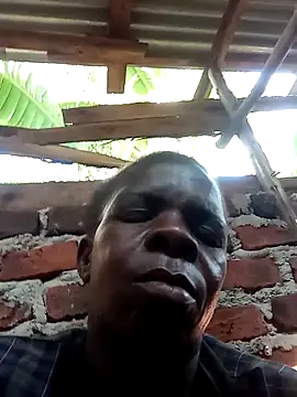 stable_23's cam snapshot