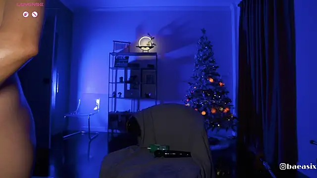 baeasian's cam snapshot