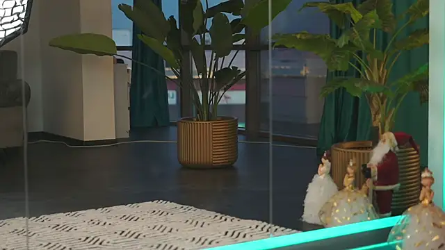 Assmerising's cam snapshot