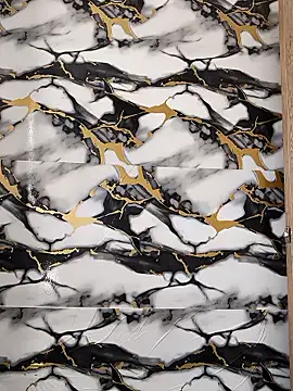 Hiroshi_Shen's cam snapshot