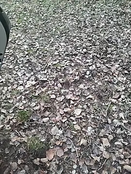 MiriandZacki live sex cam