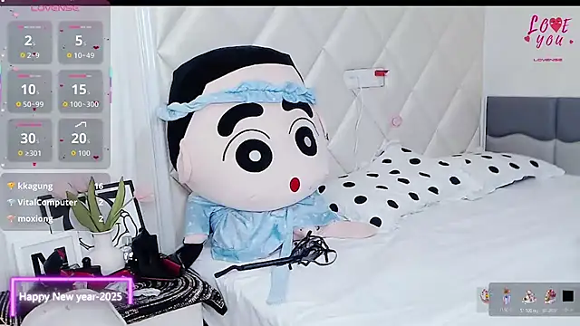 YAOYAO-2025's cam snapshot