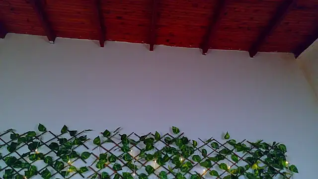 alice_rous21's cam snapshot