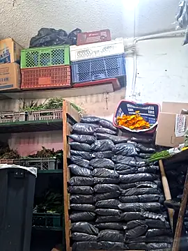 Niidia's cam snapshot