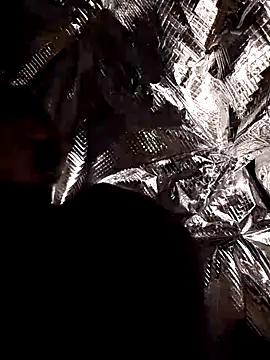 Quebec46 live sex cam