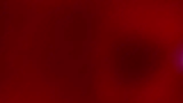 hailey-frost's cam snapshot