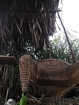 Gutierrez6383's cam snapshot